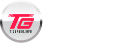 logo TIGERBIG